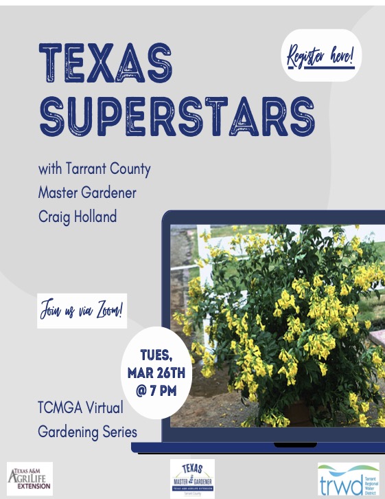 Texas Super Stars