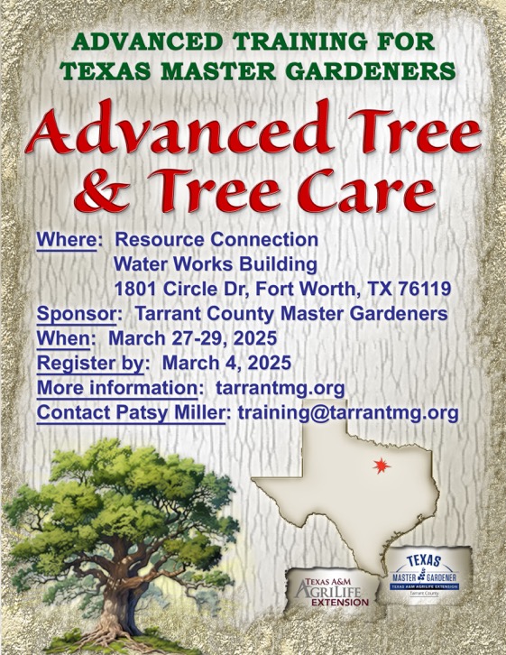 Advanced Tree & Tree Care 27Mar25