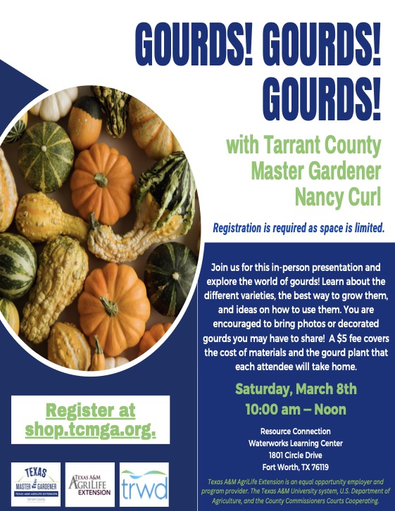 Gourds 8Mar25