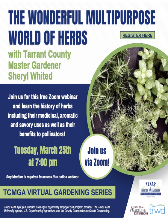 Herbs 25Mar25