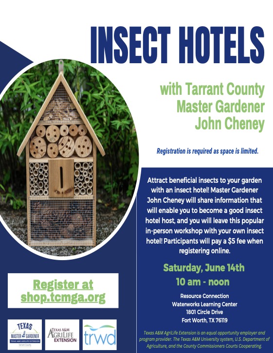 Insect hotel workshop 14Jun25