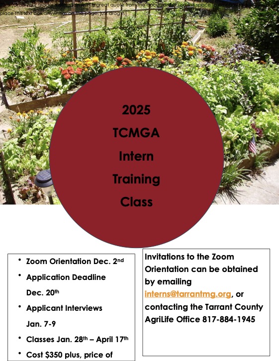 2025 TCMGA Intern Training Class