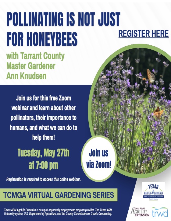 Pollinating is not just for Honeybees, 27May25