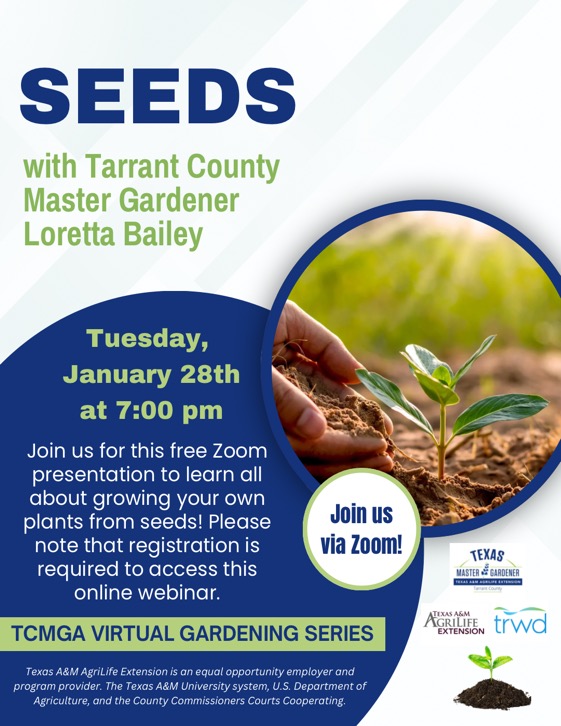 Seeds with Loretta Bailey 26Jan25