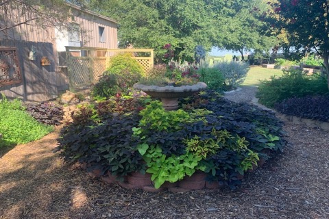 Container Garden