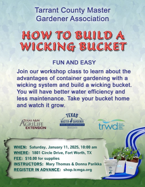 Wicking Buckets class 11Jan24